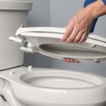 Bemis Toilet Seat Removal For Cleaning