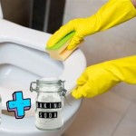 How To Clean A Yellowing Plastic Toilet Seat