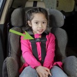 Infant Car Seat Buckle Guard