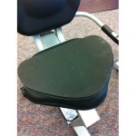 Schwinn Recumbent Bike Seat Cushion