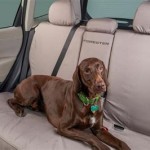 Subaru Forester Back Seat Dog Cover